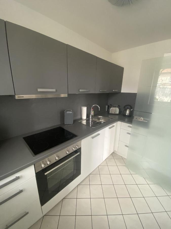 Apartment Am Gruenen Park Erfurt Eksteriør bilde